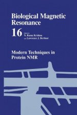 Modern Techniques in Protein NMR