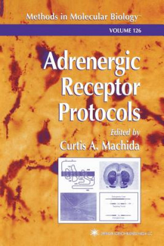 Adrenergic Receptor Protocols