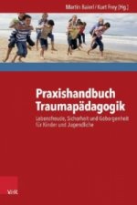Praxishandbuch Traumapädagogik