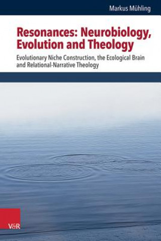 Resonances: Neurobiology, Evolution and Theology