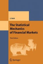 Statistical Mechanics of Financial Markets