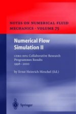 Numerical Flow Simulation II