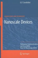 Nanoscale Devices