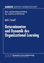 Determinanten Und Dynamik Des Organizational Learning