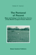 Pantanal of Pocone