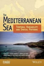 Mediterranean Sea - Temporal Variability and Spatial Patterns