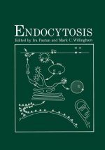 Endocytosis