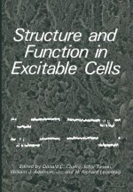 Structure and Function in Excitable Cells