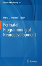 Perinatal Programming of Neurodevelopment, 1