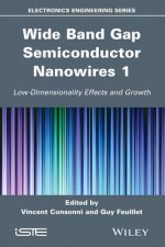 Wide Band Gap Semiconductor Nanowires for Optical Devices - Low-Dimensionality Related Effects and Growth