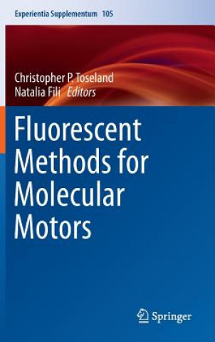 Fluorescent Methods for Molecular Motors