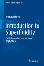 Introduction to Superfluidity