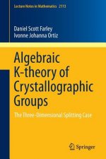 Algebraic K-theory of Crystallographic Groups