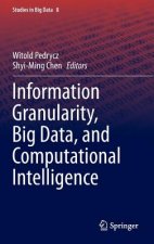 Information Granularity, Big Data, and Computational Intelligence