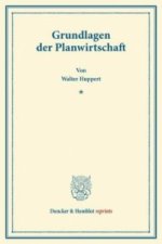 Grundlagen der Planwirtschaft.
