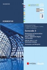 Eurocode 3 Bemessung und Konstruktion von Stahlbauten, Band 1 - Allgemeine Regeln Hochbau (+E-Book) - von Markus Feldmann, Ulrike Kuhlmann,
