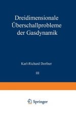 Dreidimensionale  berschallprobleme Der Gasdynamik