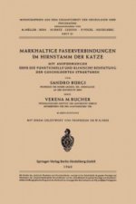 Markhaltige Faserverbindungen im Hirnstamm der Katze