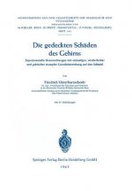 Die Gedeckten Schaden Des Gehirns