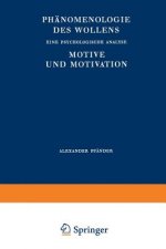 Phanomenologie Des Wollens