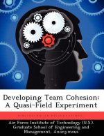 Developing Team Cohesion