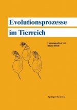 Evolutionsprozesse Im Tierreich