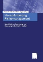 Herausforderung Risikomanagement