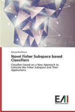 Novel Fisher Subspace Based Classifiers