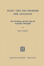 Kant und das Problem der Analogie