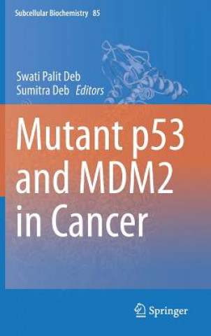 Mutant p53 and MDM2 in Cancer