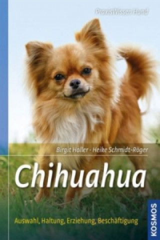 Chihuahua