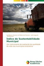 Indice de sustentabilidade municipal