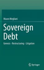 Sovereign Debt