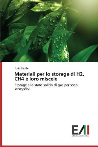 Materiali Per Lo Storage Di H2, Ch4 E Loro Miscele