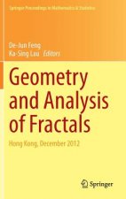 Geometry and Analysis of Fractals