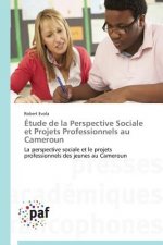 Etude de la Perspective Sociale Et Projets Professionnels Au Cameroun