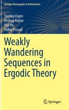 Weakly Wandering Sequences in Ergodic Theory, 1