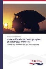 Valoracion de recursos propios en empresas mineras
