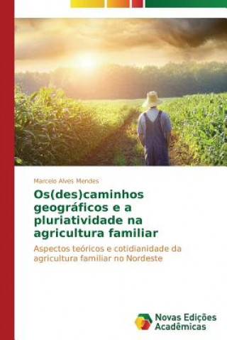 Os(des)caminhos geograficos e a pluriatividade na agricultura familiar