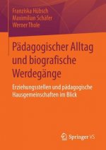 Padagogischer Alltag Und Biografische Werdegange