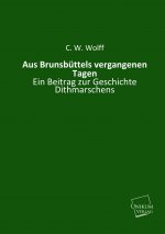 Aus Brunsbüttels vergangenen Tagen