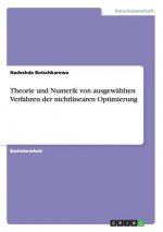 Theorie und Numerik von ausgewahlten Verfahren der nichtlinearen Optimierung