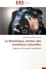 Le Num rique, Vecteur Des Mutations Culturelles