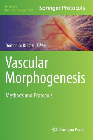 Vascular Morphogenesis, 1