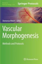 Vascular Morphogenesis, 1