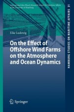 On the Effect of Offshore Wind Farms on the Atmosphere and Ocean Dynamics