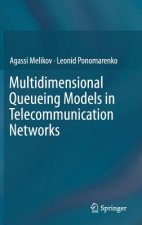 Multidimensional Queueing Models in Telecommunication Networks