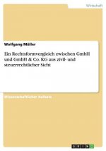 Rechtsformvergleich zwischen GmbH und GmbH & Co. KG aus zivil- und steuerrechtlicher Sicht