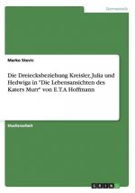 Dreiecksbeziehung Kreisler, Julia und Hedwiga in Die Lebensansichten des Katers Murr von E.T.A Hoffmann