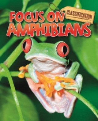 Classification: Focus on: Amphibians
